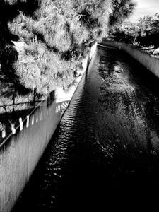 Laurie Freitag : Photographer The L.A. River 