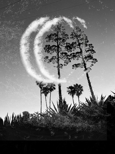 Laurie Freitag : Photographer Lunar Sanctuaries & Lunar Fields (B&W/Color Mixed-Media) 