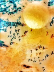 Laurie Freitag : Photographer Lunar Sanctuaries & Lunar Fields (B&W/Color Mixed-Media) 