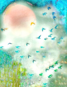Laurie Freitag : Photographer Lunar Sanctuaries & Lunar Fields (B&W/Color Mixed-Media) 