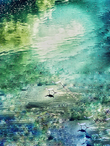 Laurie Freitag : Photographer Lunar Sanctuaries & Lunar Fields (B&W/Color Mixed-Media) 
