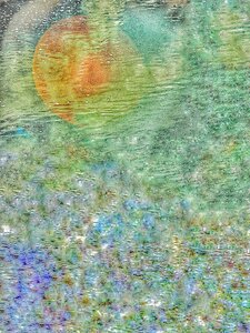 Laurie Freitag : Photographer Lunar Sanctuaries & Lunar Fields (B&W/Color Mixed-Media) 