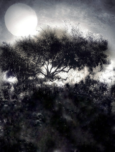 Laurie Freitag : Photographer Lunar Sanctuaries & Lunar Fields (B&W/Color Mixed-Media) 