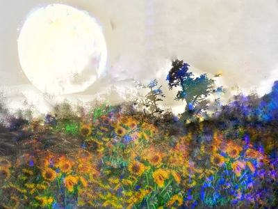 Laurie Freitag : Photographer Lunar Sanctuaries & Lunar Fields (B&W/Color Mixed-Media) 