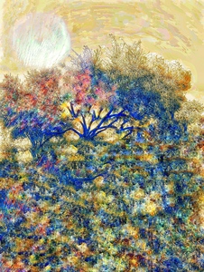 Laurie Freitag : Photographer Lunar Sanctuaries & Lunar Fields (B&W/Color Mixed-Media) 