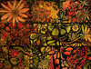 Carousel artwork image 1338