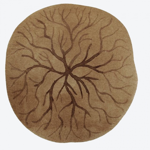Laurie Olinder Other Natural Wonders walnut ink on paper