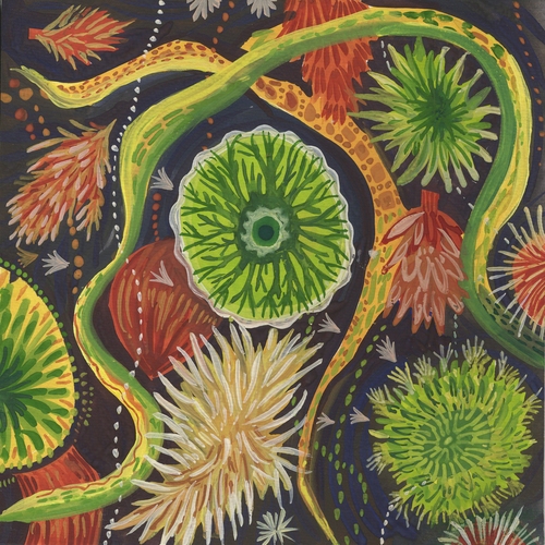 Laurie Olinder Flora gouache  on paper