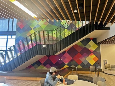 LEO BERSAMINA Large Projects Acrylic on Painted Drywall