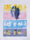  2007 - 2009 MFA SUNY New Paltz printmaking silkscreen on paper