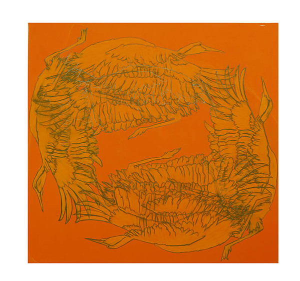 "Craning" Drawings and Prints pastel pencil and graphite on silk screened paper