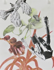 Linda Klein Nature Defiant 2020 collage and colored pencil on paper
