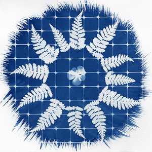 Cyanotypes