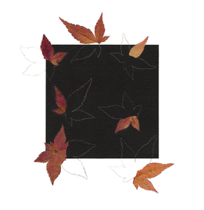 Linda Stillman Botanicals Japanese Maple leaf fragments, pencil on museum board