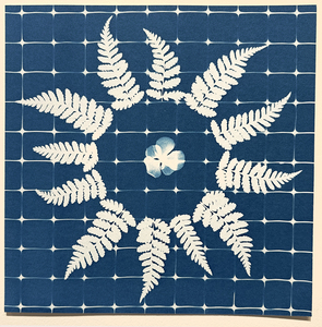 Linda Stillman Botanicals 