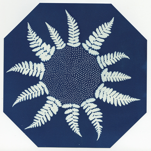 Linda Stillman Cyanotypes cyanotype & ink on paper