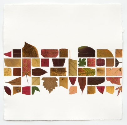 Linda Stillman Botanicals dried leaves, acrylic medium on paper