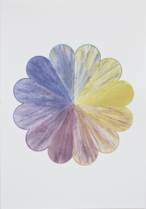 Linda Stillman Botanicals flower stains & colored pencil on paper