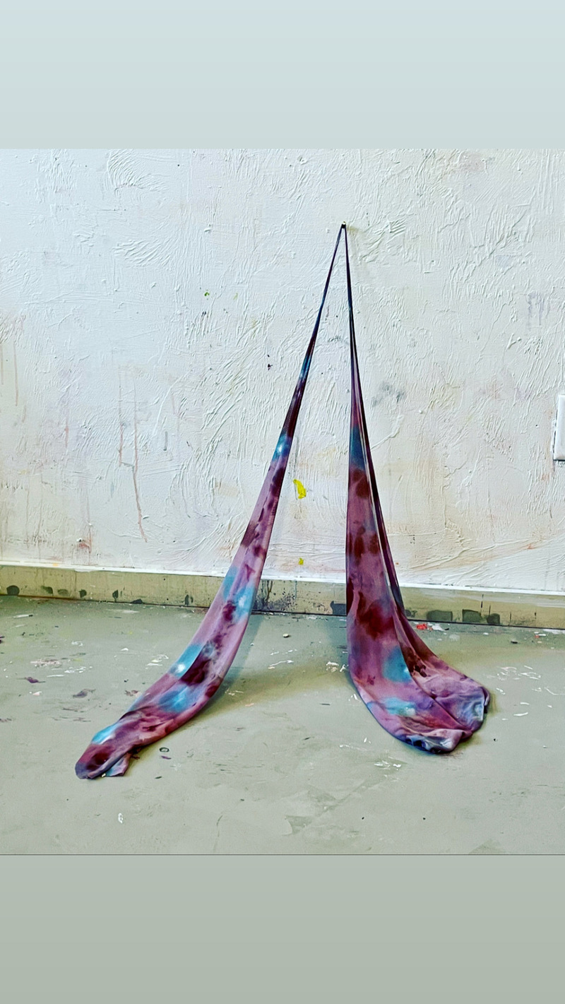 Liza Bingham Recent Acrylic on mesh