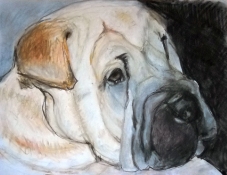 Louise Weinberg Dogs pastel pencil