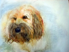 Louise Weinberg Dogs pastel pencil