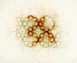 Luisa Sartori      Circles, triangles and then... graphite, oil pastels on tracing paper