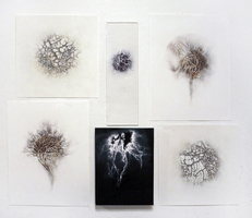 Luisa Sartori In & Out graphite drawings on prepared paper and digital prints