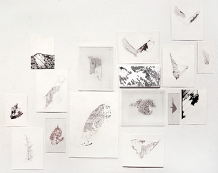 Luisa Sartori In & Out graphite on prepared paper and digital prints on transpatencies