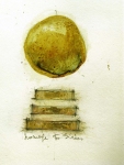 Luisa Sartori Seeds & Stars Ink, Graphite, gold leaf on paper
