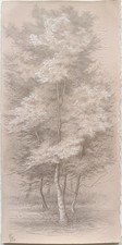 L  U  I  S   C  O  L  A  N Landscapes silverpoint and watercolor highlights, on prepared toned paper