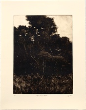L  U  I  S   C  O  L  A  N Monotypes monotype on Rives Heavy Weight paper