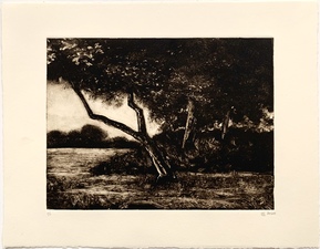 L  U  I  S   C  O  L  A  N Monotypes monotype on Rives Heavy Weight paper