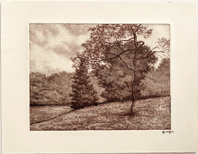 L  U  I  S   C  O  L  A  N Landscapes pen and ink over monotype ghost print on paper