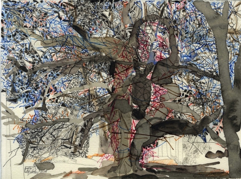 LINDA VERKLER Drawings and Mixed Ink on paper