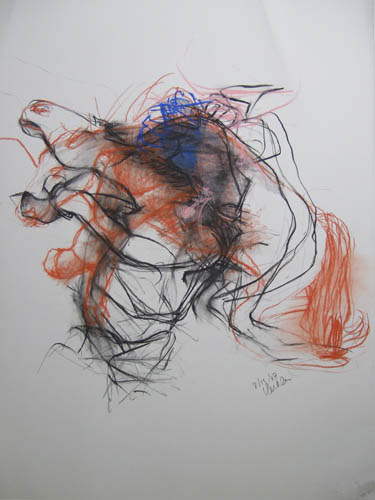 LINDA VERKLER Double the Vision Conte, charcoal, pastel on grey Magnani pescia paper