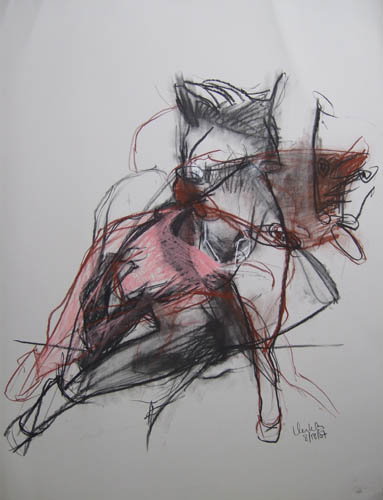 LINDA VERKLER Double the Vision Charcoal, pastel, conte on grey Magnani Pescia paper
