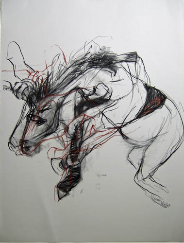 LINDA VERKLER Double the Vision Charcoal, conte, pastel on grey Magnani Pescia paper