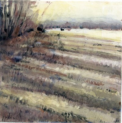 River Walks (striped fields) River Walk: Monoprints Drypoint and monotype