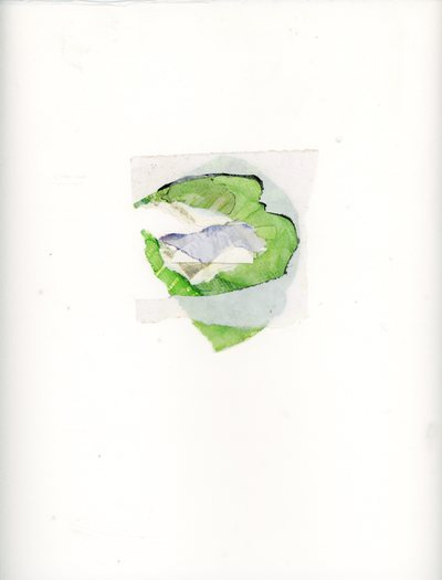Leaf Current Work Collage