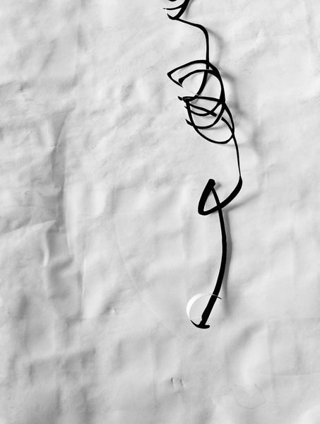 MAGGIE PRESTON PREHISTORY  Archival Pigment Print on Rag