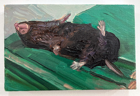  2022-2023 oil on canvas