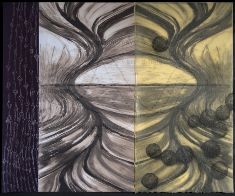  Nature's Math Mixed Media Print: Ink Jet Prints, Intaglio, Silkscreen, Wax, Collage