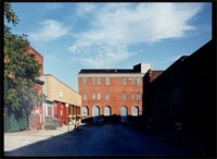 Gowanus Canal Series