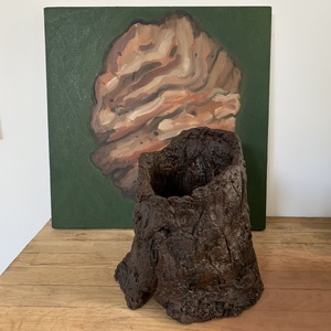 Marie Van Elder  Coastal Project: Ode to the Stump  
