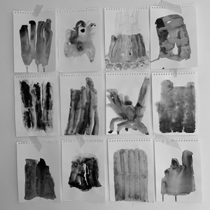 Marie Van Elder  Coastal Project: Ode to the Stump  