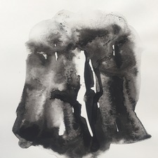 Marie Van Elder  Coastal Project: Ode to the Stump  ink on paper