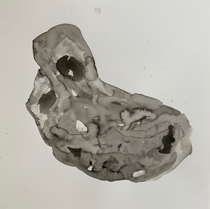Marie Van Elder  Coastal Project: Ode to the Stump  ink on paper