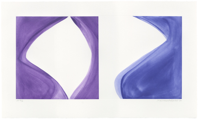 Marina Adams NY Series Etchings Intaglio with chine-collé on En Tout Cas paper