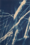 Marsha Goldberg Cyanotypes 2016-2019 cyanotype