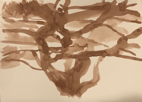 Martha Schlitt TREES DURING THE PANDEMIC watercolor on paper